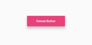 Flutter Raised Button Example – Detailed Raised Button Decoration 8 flutter raised button padding
