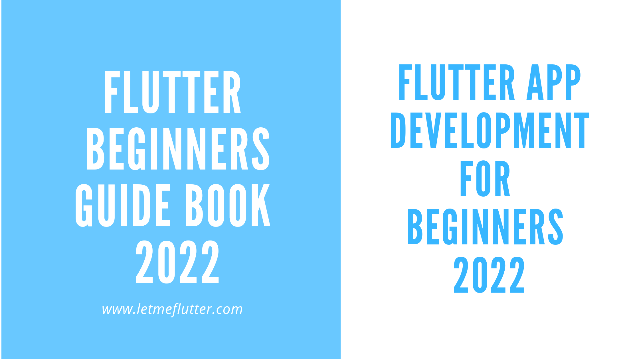 flutter beginner guide