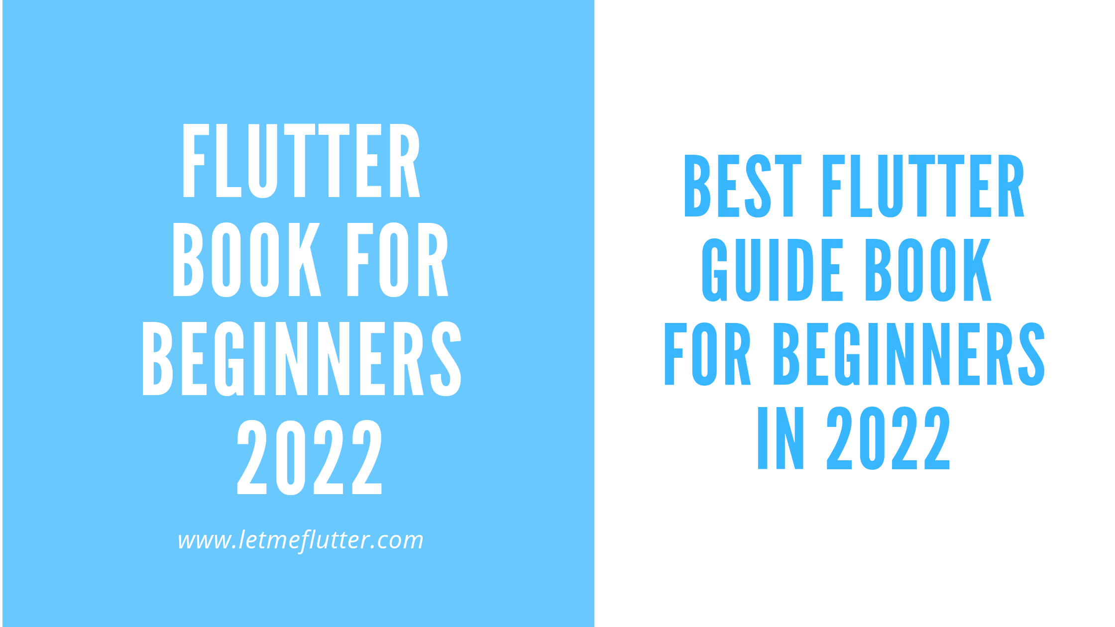 flutter book