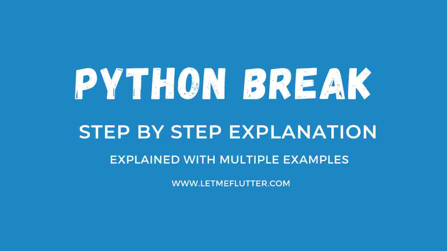 python break statement