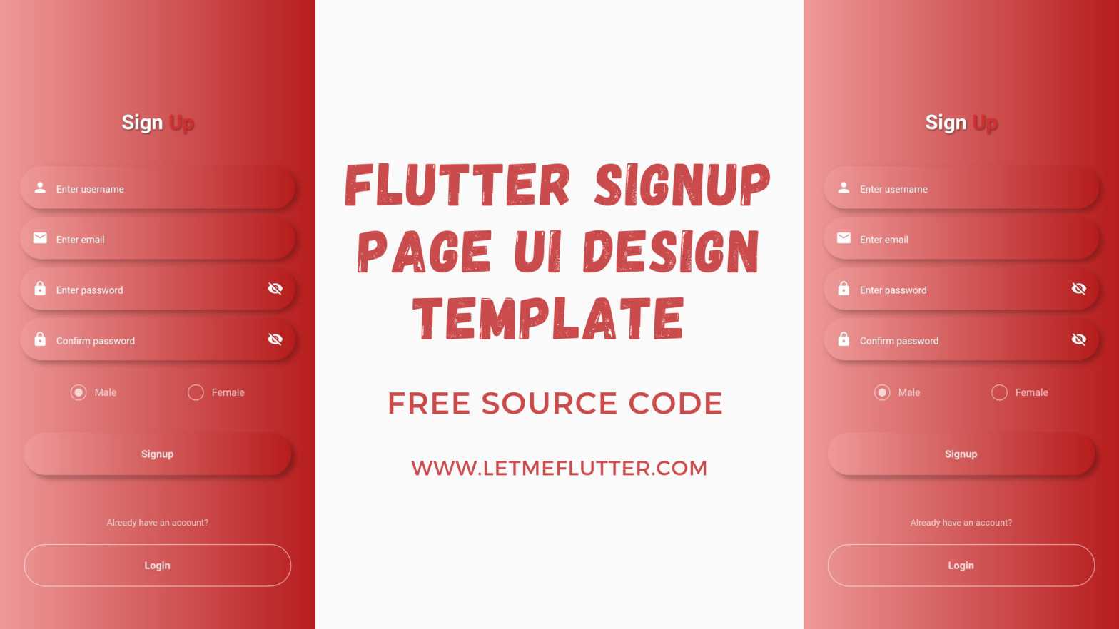 flutter signup page