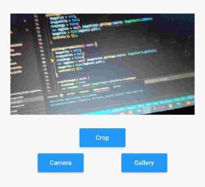 crop image in flutter