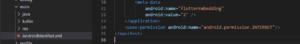 flutter video player android manifest