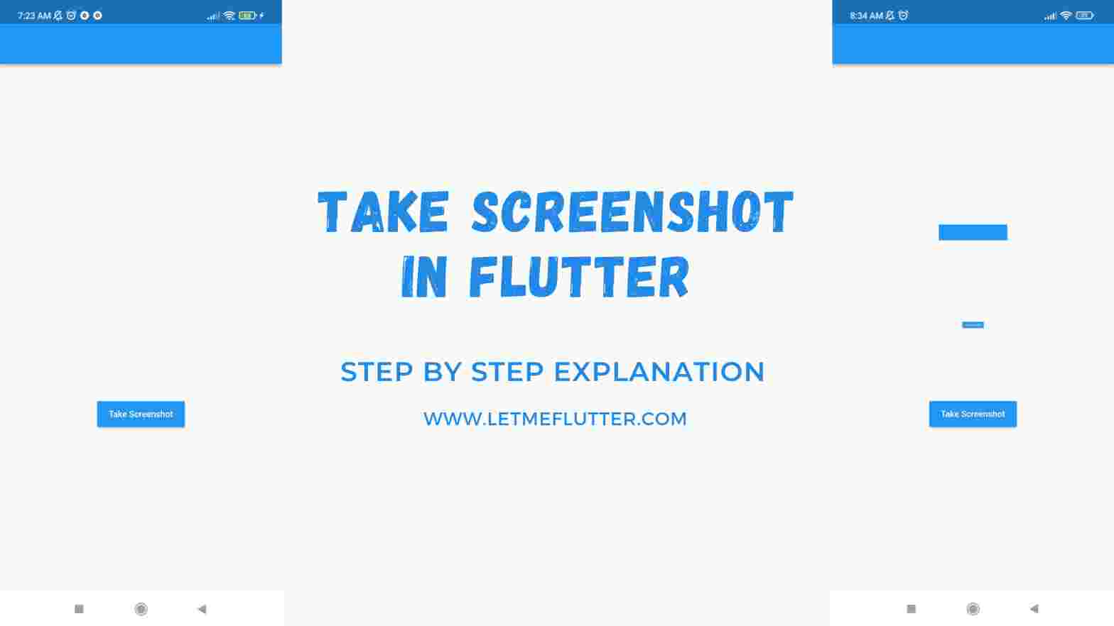 screenshot in flutter