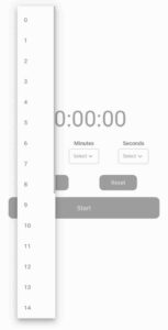 custom flutter timer
