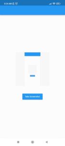 screenshot in flutter app