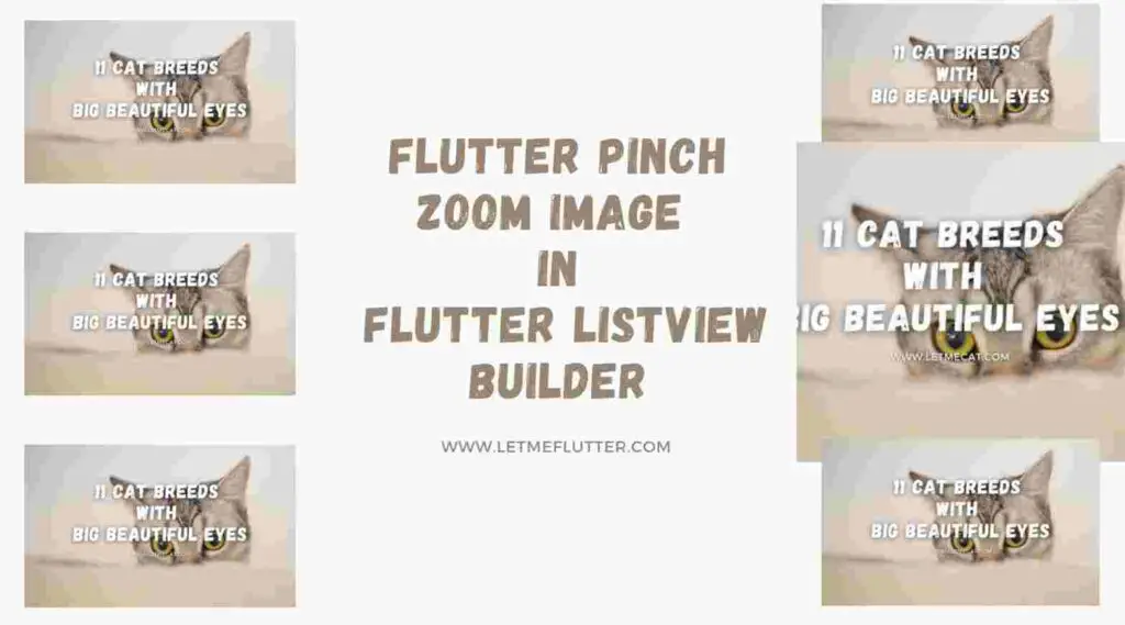 flutter pinch zoom image in flutter listview builder