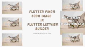 Let Me Flutter - Home 57 flutter pinch zoom image in flutter listview builder