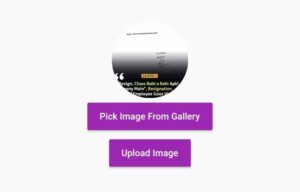 flutter image picker from gallery, flutter icon and flutter material button widget