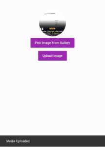 flutter image picker with flutter icon widget and flutter material button widget